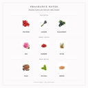 Pendora Scents Lady Rose Edp 100ml Women - Fragrance Notes Pyramid | Abdulghani Trading