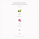 Pendora Scents Monster Rose Musk Edp 80ml Women - Fragrance Notes Pyramid | Abdulghani Trading
