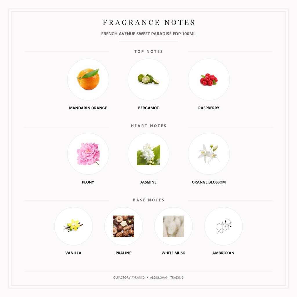 French Avenue Sweet Paradise EDP 100ML - Fragrance Notes Pyramid | Abdulghani Trading