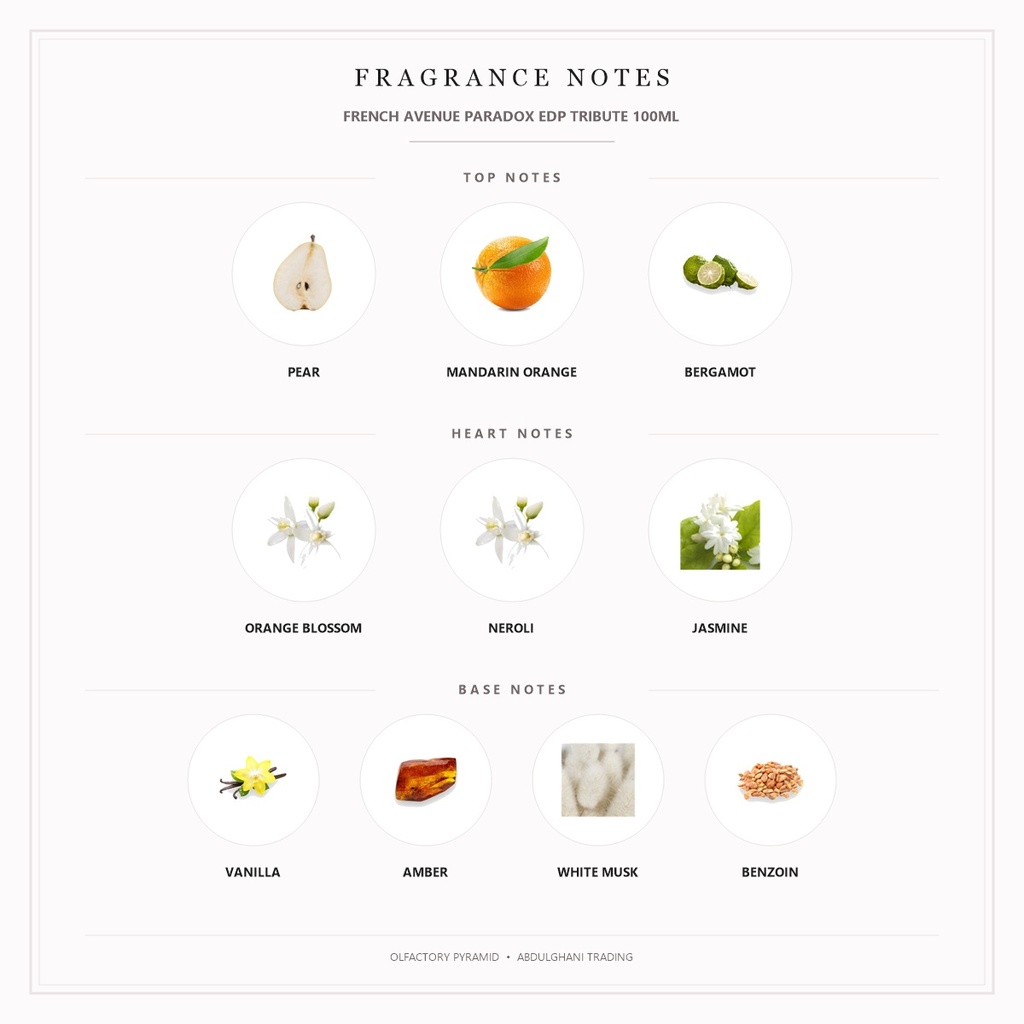 French Avenue Paradox EDP Tribute 100ML - Fragrance Notes Pyramid | Abdulghani Trading