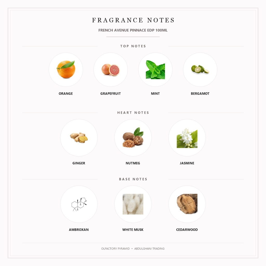French Avenue Pinnace EDP 100ML - Fragrance Notes Pyramid | Abdulghani Trading