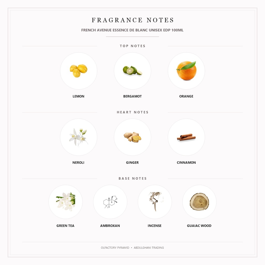 French Avenue Essence De Blanc Unisex EDP 100ML - Fragrance Notes Pyramid | Abdulghani Trading