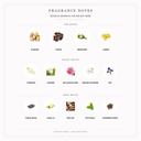 Geparlys Aromatic For Her EDP 100ML - Fragrance Notes Pyramid | Abdulghani Trading