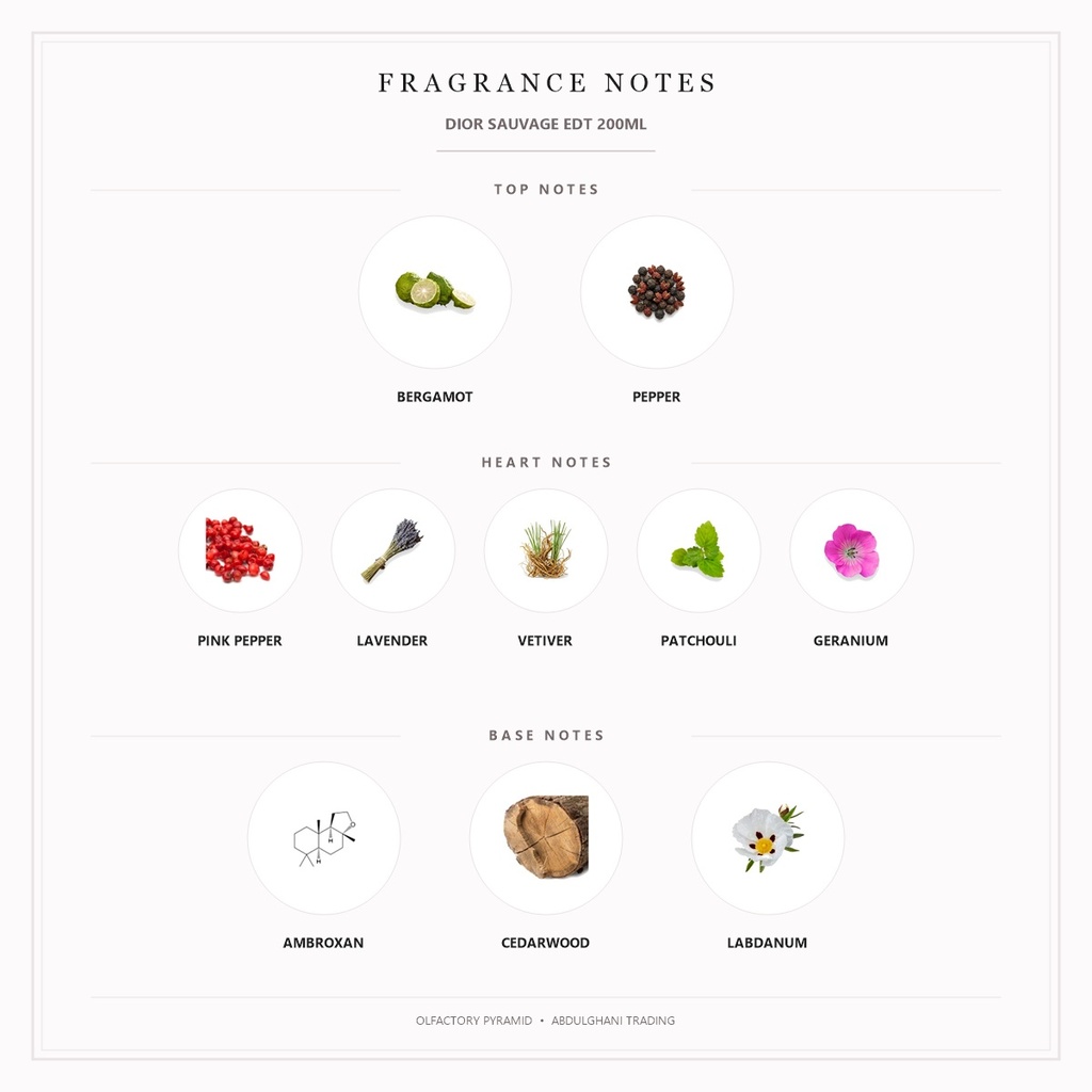 Dior Sauvage EDT 200ml - Fragrance Notes Pyramid | Abdulghani Trading