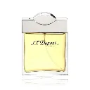 S.T. Dupont Pour Homme Eau de Toilette 100ml for Men - Bottle View | Abdulghani Trading