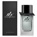 Burberry Mr. Burberry Eau de Toilette 100ml for Men