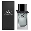 Burberry Mr. Burberry Eau de Toilette 100ml for Men