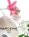 Pendora Scents Narceine Poudree Edp 100ml Women – Inspired by Narciso Rodriguez Poudree