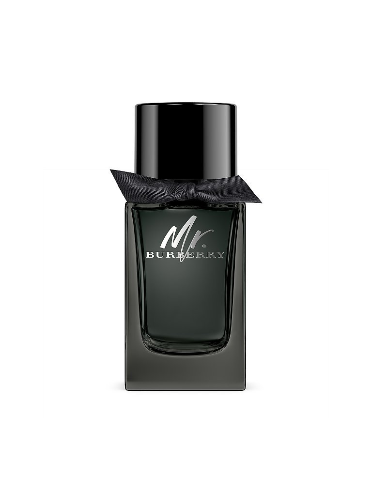 Burberry Mens Mr. Burberry EDP 100ml for Men