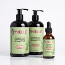 Mielle Offer: 2 Shampoo 355 ml + 1 Serum 59 ml