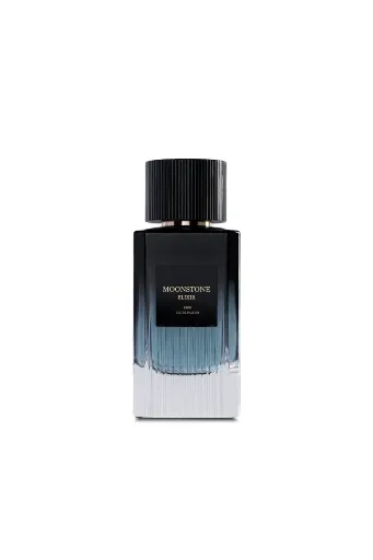 L'Orientale Fragrances Moonstone Elixir Eau de Parfum 100ml Unisex